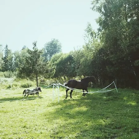 Haerjamaee Saunamaja, Sotke Kuela, Maerjamaa Sotke (Rapla)